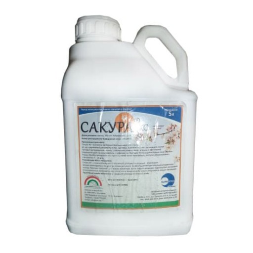 Сакура